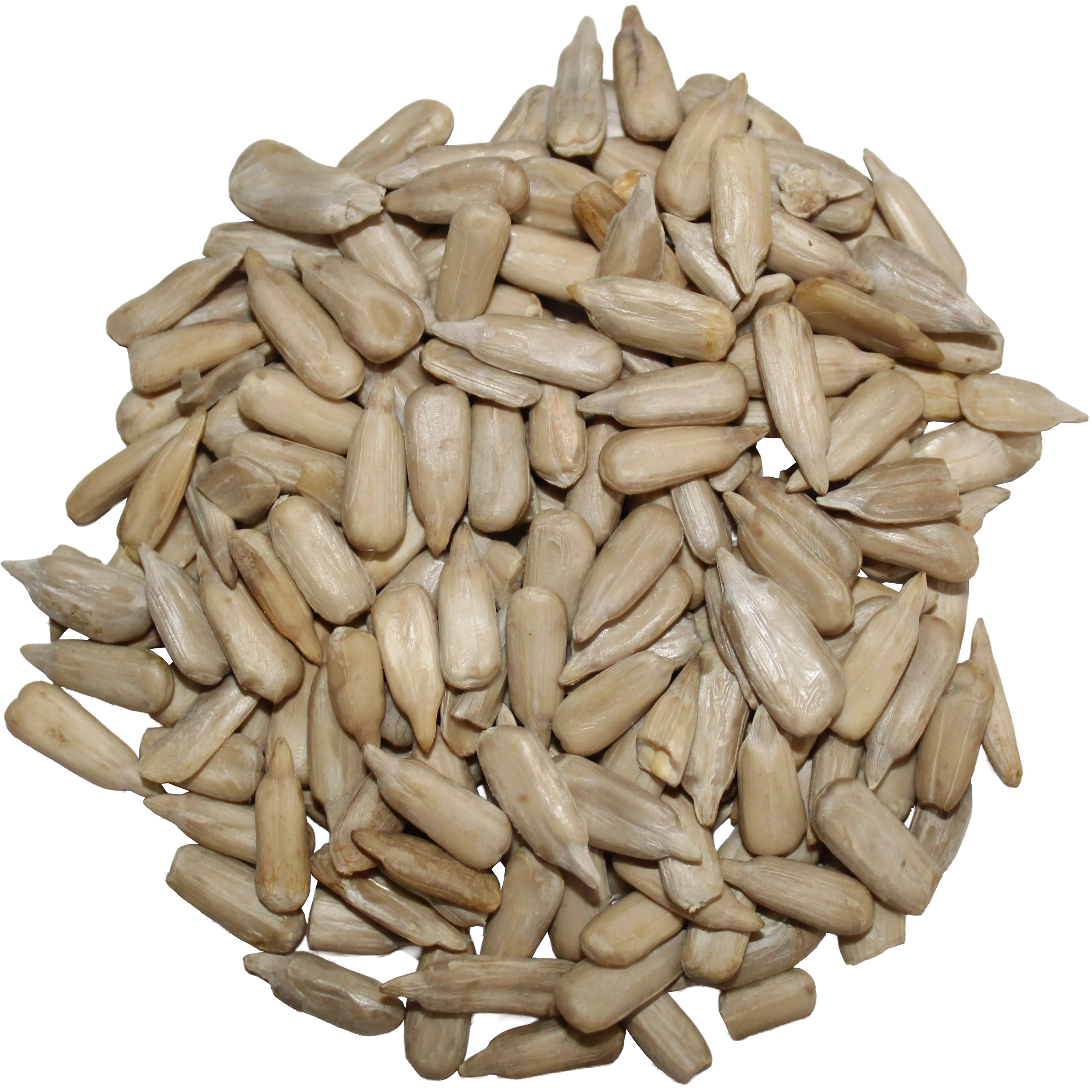 Sunflower Seeds